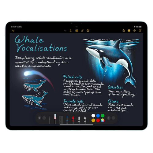 Apple iPad Air 13 (2024)